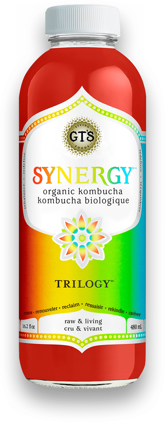 GT s Organic - Trilogy Kombucha Drink, 480 mL Hot on Sale