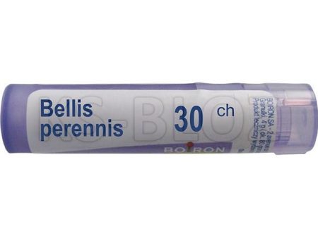 Boiron - Bellis Perennis 30ch, 80 pellets Online now