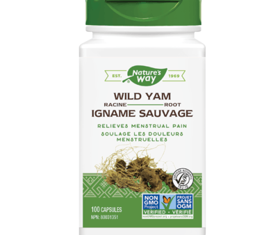 Nature s Way - Wild Yam Root, 100 capsules Discount