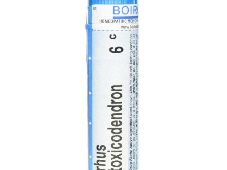 Boiron - Rhus Toxicodendron 200ch, tube For Discount