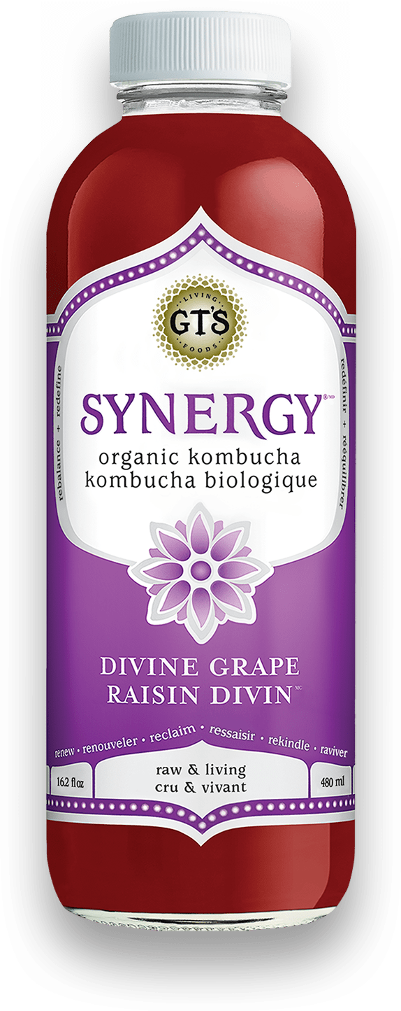 GT s Organic - Divine Grape Kombucha Drink, 480 mL Hot on Sale