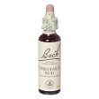 Bach Original Flower Remedies - Chestnut Bud, 20ml Online