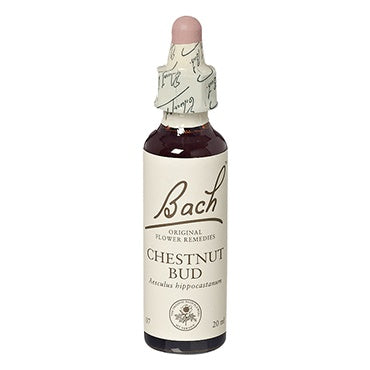 Bach Original Flower Remedies - Chestnut Bud, 20ml Online