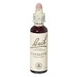 Bach Original Flower Remedies - Clematis, 20ml For Cheap