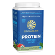 Sun Warrior - Warrior Protein Blend (natural), 750 g Sale