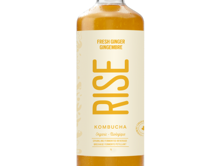 Rise Kombucha - Fresh Ginger White Tea, 1 L Online now