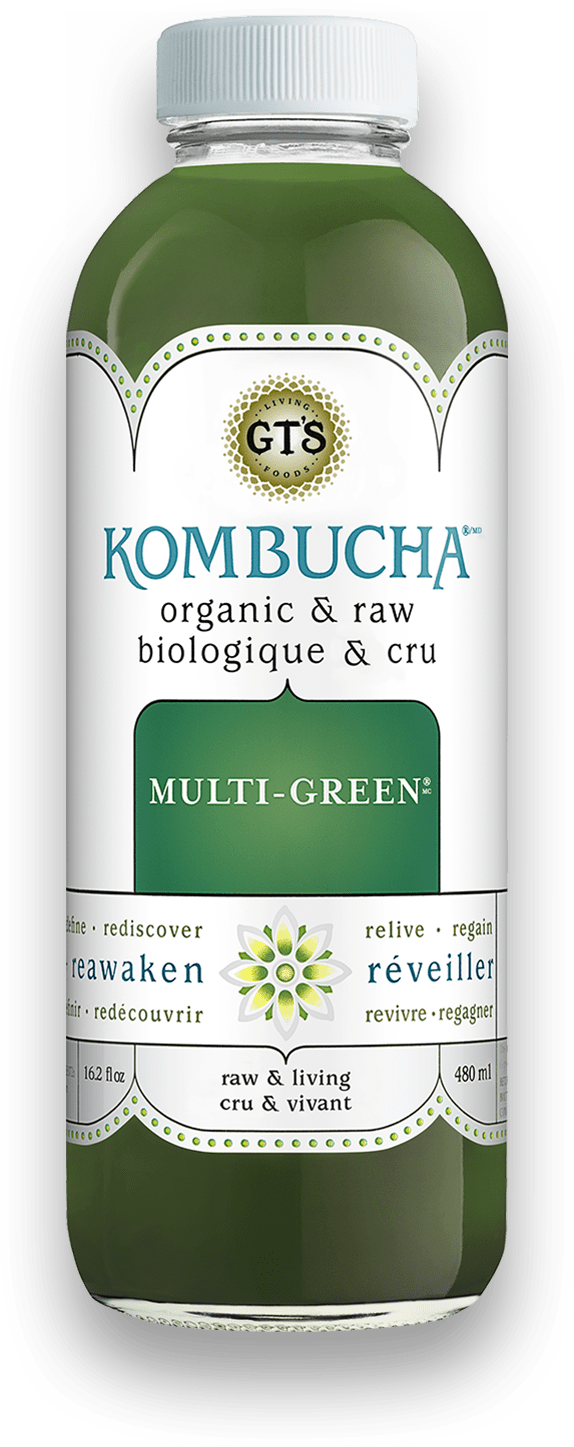 GT s Organic - Multi-Green Kombucha Drink, 480 mL on Sale