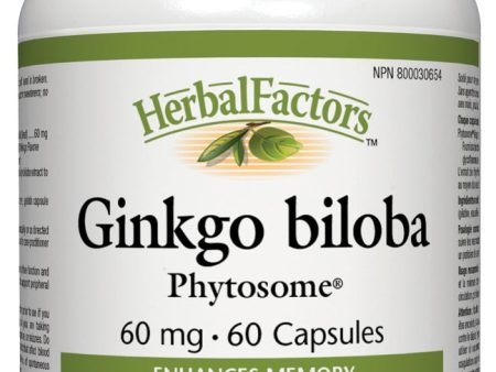 Natural Factors - Ginkgo biloba Phytosome®, 60 capsules For Sale