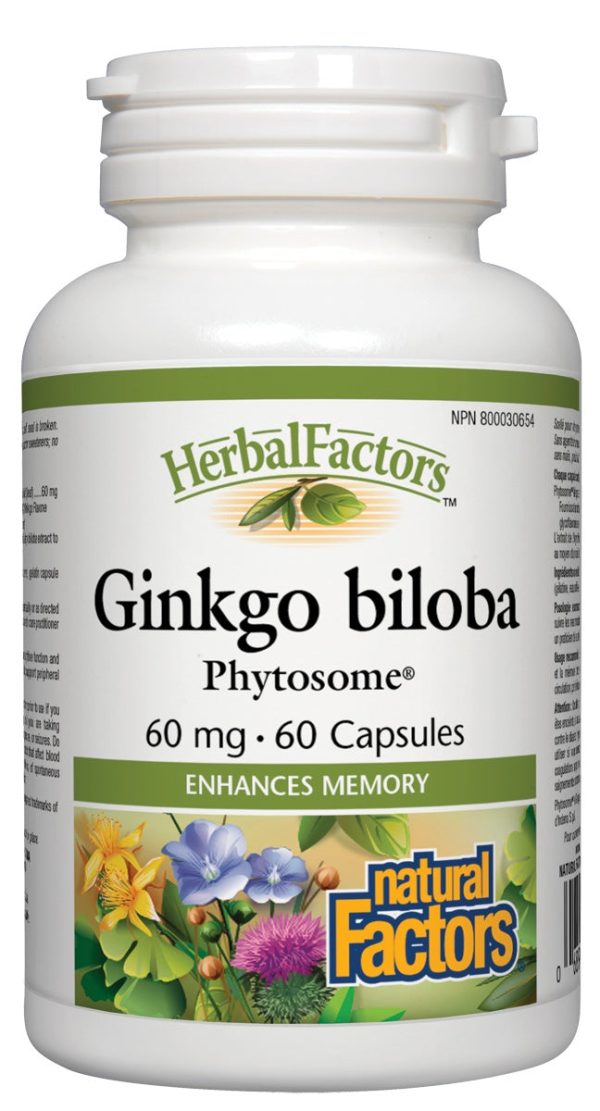 Natural Factors - Ginkgo biloba Phytosome®, 60 capsules For Sale