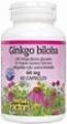 Herbal Factors - Ginkgo Biloba 60mg, 120 capsules For Discount