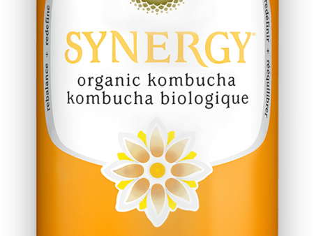 GT s Organic - Mystic Mango Kombucha Drink, 480 mL For Discount