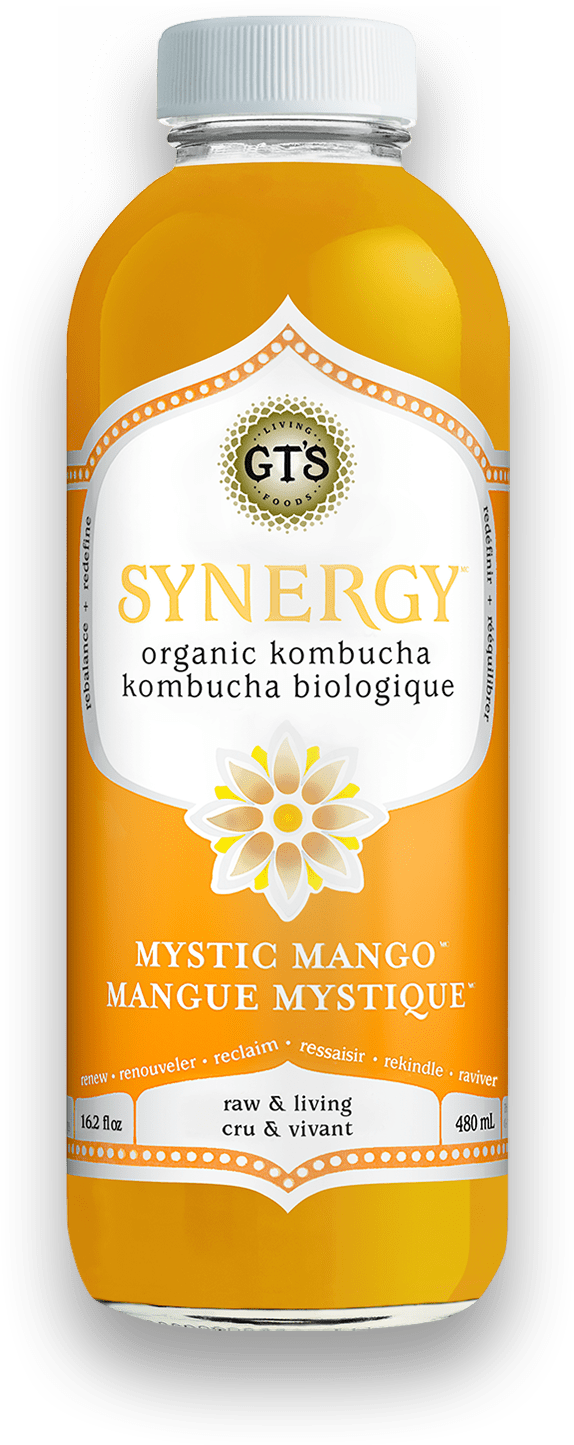 GT s Organic - Mystic Mango Kombucha Drink, 480 mL For Discount