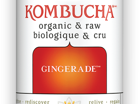 GT s Organic - Gingerade Kombucha Drink, 480 mL For Cheap