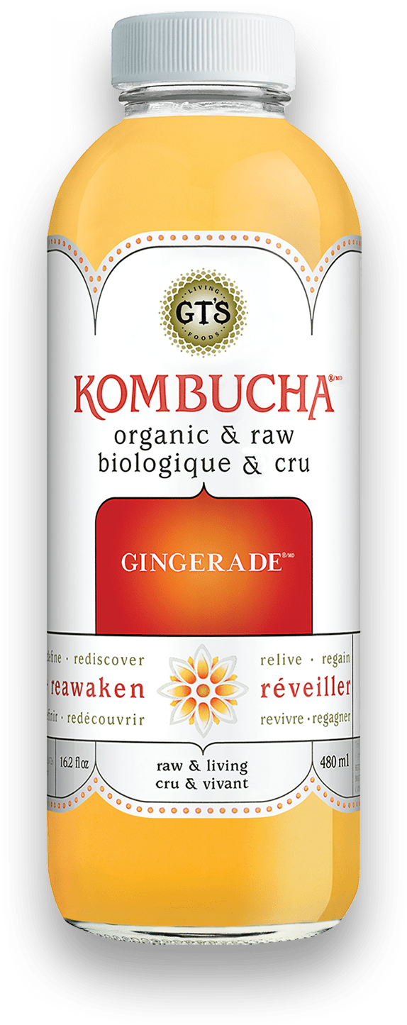 GT s Organic - Gingerade Kombucha Drink, 480 mL For Cheap