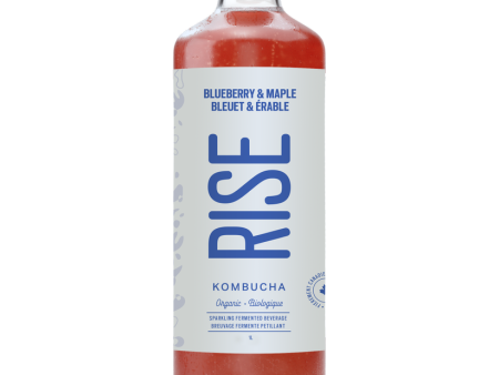 Rise Kombucha - Blueberry & Maple, 1 L For Cheap