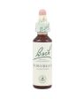 Bach Original Flower Remedies - Hornbeam, 20ml Hot on Sale