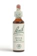 Bach Original Flower Remedies - Rock Rose, 20ml Discount