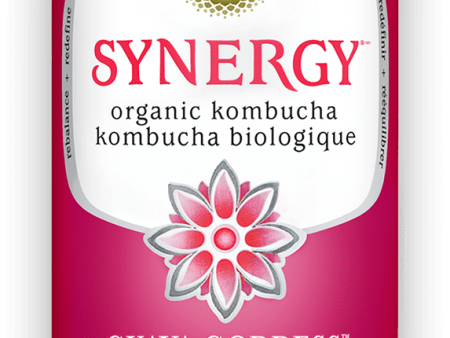 GT s Organic - Guava Goddess Kombucha Drink, 480 mL Online now