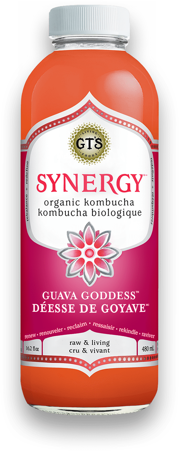 GT s Organic - Guava Goddess Kombucha Drink, 480 mL Online now