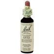 Bach Original Flower Remedies - Aspen, 20ml Discount