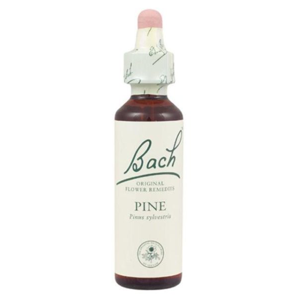 Bach Original Flower Remedies - Pine, 20ml Online Sale