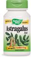 Nature s Way - Astragalus Root, 100 caps Cheap