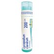 Boiron - Lycopodium Clavatum 200ch, 80 pellets Online now