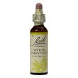 Bach Original Flower Remedies - White Chestnut, 20ml Sale