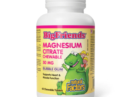 Natural Factors Big Friends Magnesium Citrate- Bubble Gum 60 Chewable Tablets For Sale