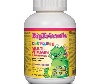 Natural Factors Big Friends Multivitamin & Minerals-Jungle Berry 60 Chewable Tablets Online