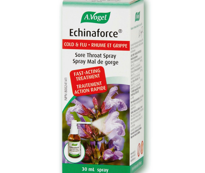 A.Vogel Echinaforce Throat Spray 30ml Value Pack Hot on Sale