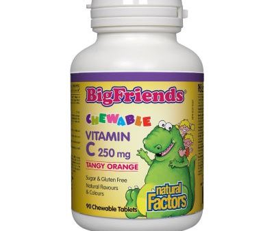 Natural Factors Big Friends Vitamin C- Tangy Orange 90 Chewable Tablets Online Hot Sale